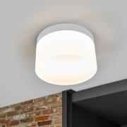 Helestra Liv LED-taklampe Ø 20 cm