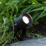 Garden 24 LED-spot, svart, 15 watt