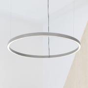 Luceplan Compendium Circle 110 cm, aluminium