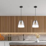 Hengelampe Miro 1 lyskilde Glass røykgrå/klar Ø20cm