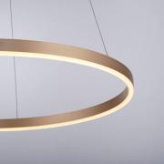 Ritus LED pendellampe, Ø 58,5 cm, matt messing