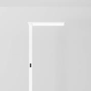 Regent Lighting Lightpad LED 1 tunable venstre