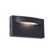 LED utendørs vegglampe Vita, mørkegrå, 13,7 x 7,5 cm