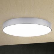 Dimbar LED-taklampe Egilo - 60 cm