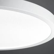 LED hengelampe VIVAA 2.0 Ø45cm kabel hvit 3 000K