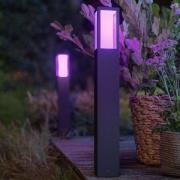 Philips Hue White+Color Impress LED-veilampe