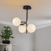 Grand taklampe, svart, 3 lyskilder