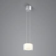 BANKAMP Grand Clear LED pendellampe, 1fl, Ø 20 cm