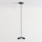 UMAGE Forget Me Not mini pendel 1 lyskilde, eik svart