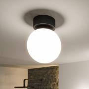 Paulmann Gove LED-taklampe, svart, IP44