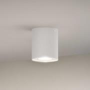 Philips Hue White Ambiance Pillar LED downlight, hvit