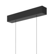 Hengelampe Bande, 114 cm, svart, metall, CCT, dimmer