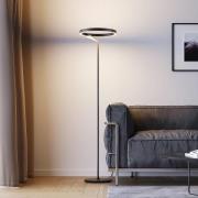 Molto Luce LED-gulvlampe Melli F, svart, aluminium, høyde 168 cm