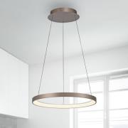 Paul Neuhaus LED-hengelampe Hoop, brun, Ø 57 cm, dimbar