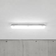 LED-våtromsarmaturlampe Mareen 8,5W 61cm