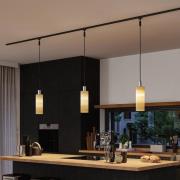 Paulmann URail lampeskjerm Vitus 2Easy, tre, Ø 11 cm