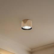 Downlight Chloe fast, stål messingfarget