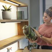 OSRAM LED-benkbelysning Linear Edge Sensor 50 cm svart CCT