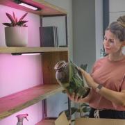 OSRAM LED-benkbelysning Linear Edge Sensor RGBW 30 cm svart