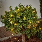 Dew Drop - solcelledrevet lyslenke 250 cm lang