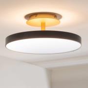 UMAGE LED-taklampe Asteria UP PLUS, antrasitt Ø 43 cm CCT