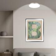 LED-taklampe Kaida, matt nikkel, Ø 38 cm, energiklasse A, 4000 K