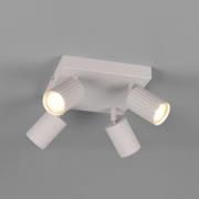 Downlight Soka, lysegrå, lengde 20 cm, metall, 4 lyskilder