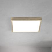 LED-taklampe Disc, antikk messingfarget, lengde 24 cm, CCT