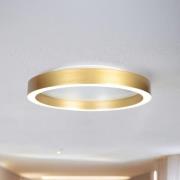 LED-taklampe Ringlux gullfarget, Ø 40 cm, metall, 2700 K