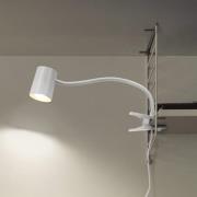 OSRAM klemmelampe Office Line Desk Trapezium Clip hvit GU10