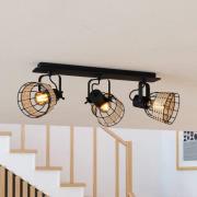 Takspot Anwick 1 spanskrørdekor, 3 lyskilder