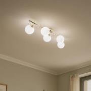 Taklampe Drum, gullfarget, glass, lengde 80 cm, 5 lyskilder