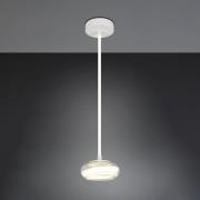 LED-hengelampe Tarsia, matt hvit, Ø 21 cm, glass