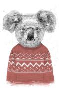 PelcasaPoster Winter Koala (Red)HvitPostereFra Homeroom