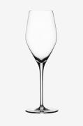 SpiegelauChampagneglass Authentis 27 cl, 4-pkTransparentVinglassFra Ho...