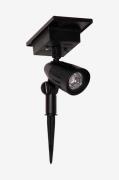 Star TradingSolar Powerstpot Ww/RgbSvartSolcellelamperFra Homeroom