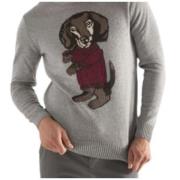 Men Clothing Gensere Grey Aw21