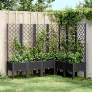 vidaXL Plantekasse med espalier svart 160x120x142 cm PP