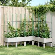 vidaXL Plantekasse med espalier hvit 160x120x142,5 cm PP