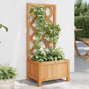 vidaXL Plantekasse med espalier brun heltre gran