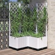 vidaXL Plantekasse med espalier hvit 80x80x136 cm PP