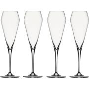 Spiegelau Willsberger Champagneglass 24cl 4-pk