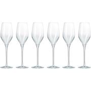 Aida Passion Connoisseur Champagneglass, 6 stk