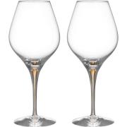 Orrefors Intermezzo Aroma vinglass 62 cl, gull