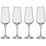 Orrefors Pulse champagneglass 28 cl, 4-pakning