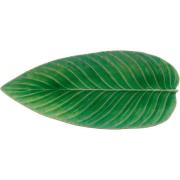 Costa Nova - Riviera serveringsfat avlang Løv 40x17 cm grønn/svart