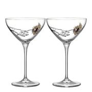 Kosta Boda - All about you coupe champagneglass 24cl 2s