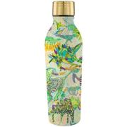 Root7 - Medium drikkeflaske 0,5L Arthouse Dinosaur