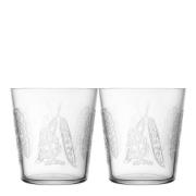 iittala - Taika Sato glass 38 cl 2 stk klar