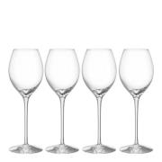 Orrefors - More champagneglass boule 31 cl 4 stk klar